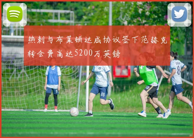 热刺与布莱顿达成协议签下范赫克转会费高达5200万英镑