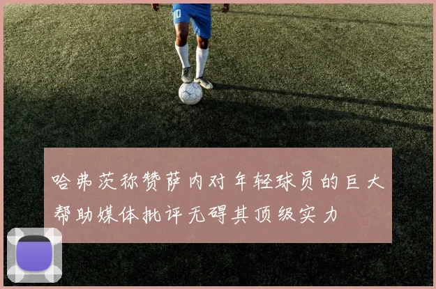 哈弗茨称赞萨内对年轻球员的巨大帮助媒体批评无碍其顶级实力
