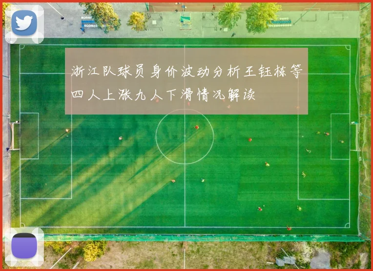 浙江队球员身价波动分析王钰栋等四人上涨九人下滑情况解读